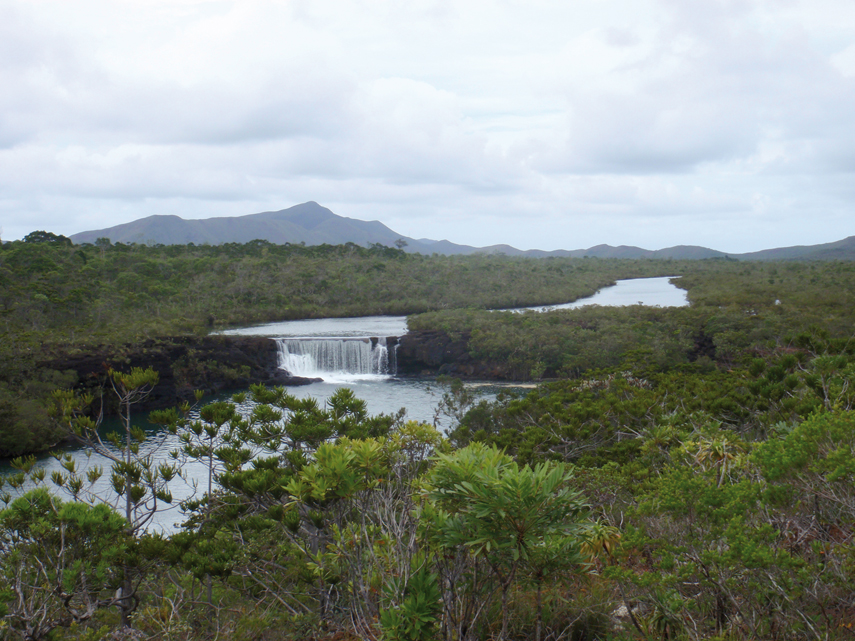 Chronique Nouvelle Caledonie