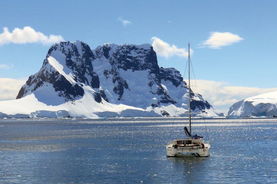 Libellule en Antarctique