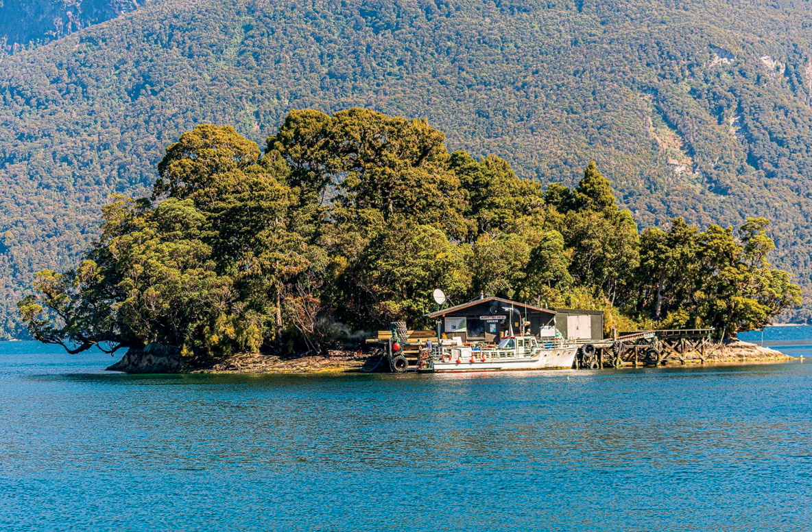 Blanket Bay, entre Thompson Sound et Doubtful Sound. 