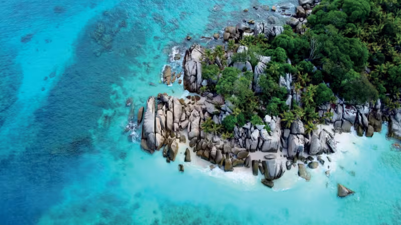 L’îlet Coco, aux Seychelles, a tout l’air d’un paradis encore préservé ; et pourtant les coraux des fonds sont morts à 95% en moins de 10 ans.  Le réchauffement des océans est en cause...