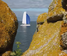 Les Canaries