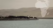 Namibie - Eaux froides et sables brûlants, le choc !