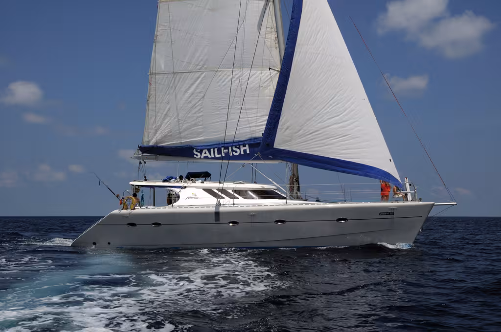 Avec son roof en sifflet et ses étraves inclinées, le Knysna 480 se donne un look dynamique réussi.