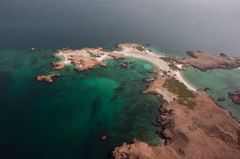 Sur les traces de Simbad le marin
