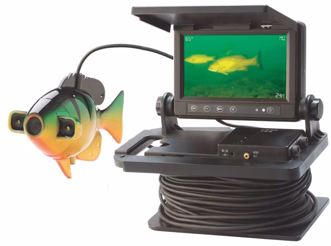 Vidéo sous-marine