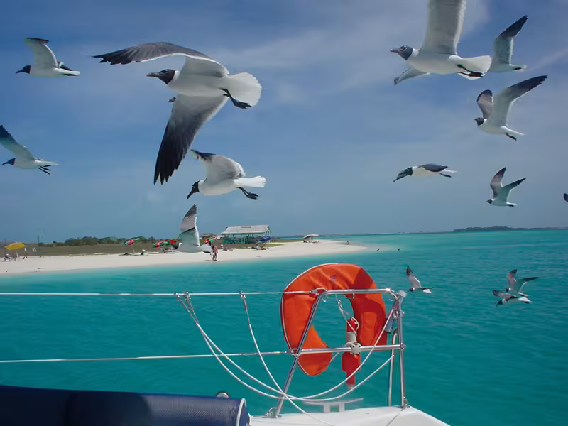 Venezuela en catamaran, y aller ou pas ?