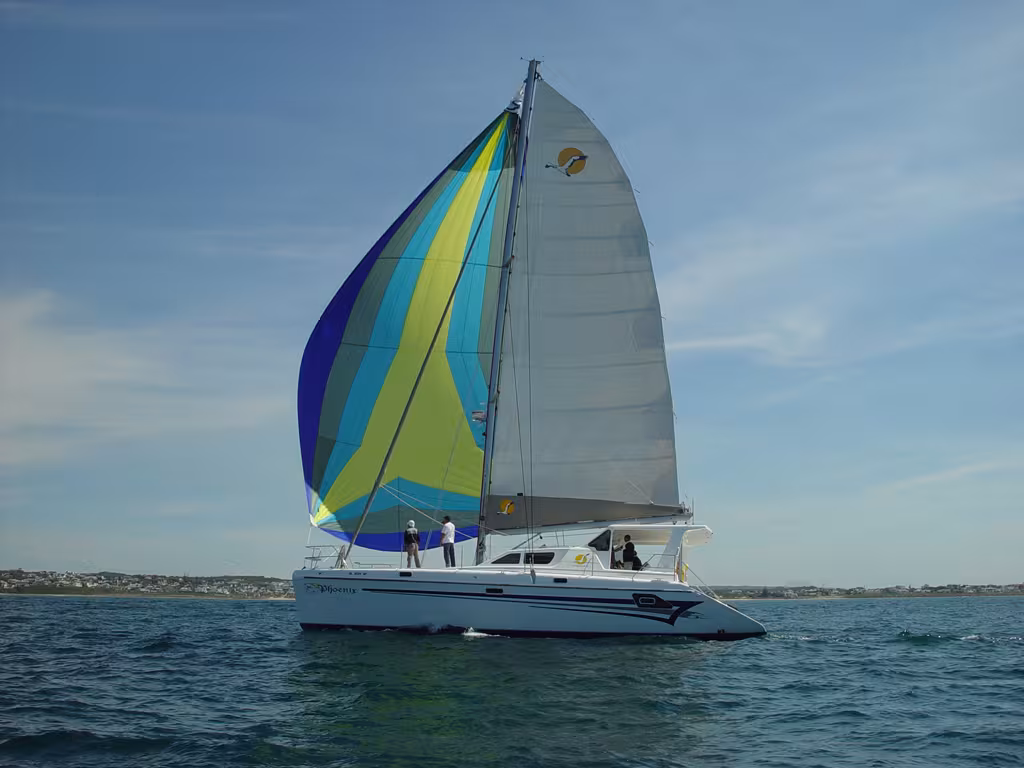 Découvrez le St Francis 50 au Miami Boat Show 2015