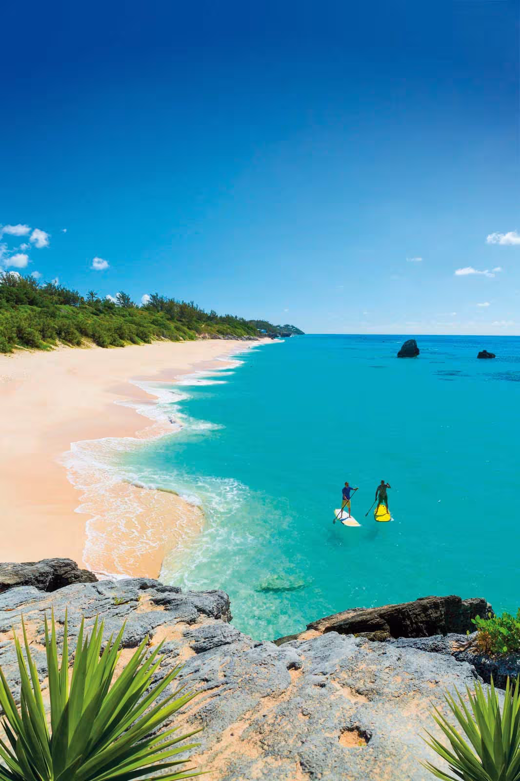 Bordées de plages immaculées, les Bermudes se donnent à qui osent s'y aventurer.