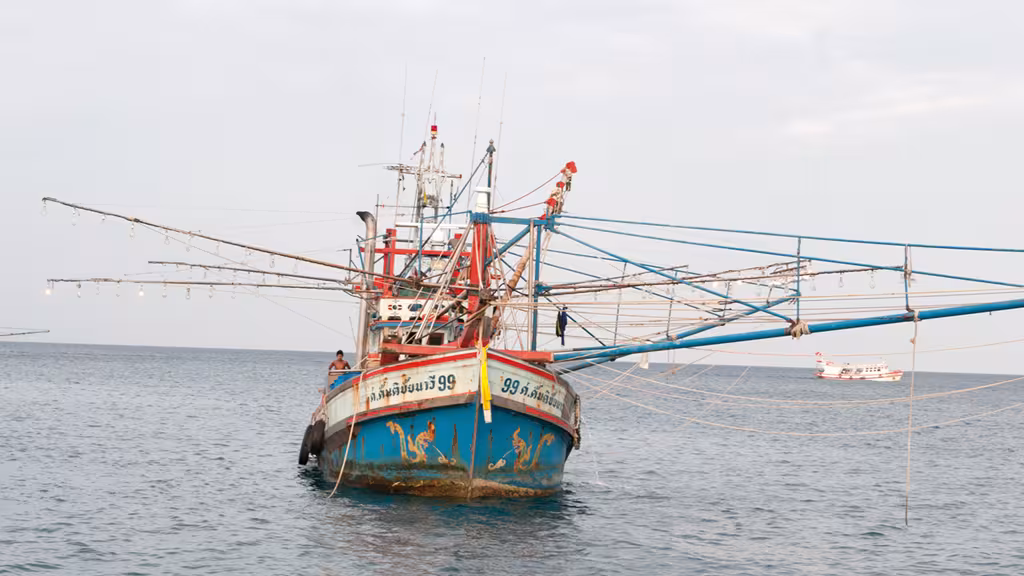 Ces bateaux pêchent les calamars pendant la nuit en les attirant avec de puissantes lumières. Difficile de les manquer !