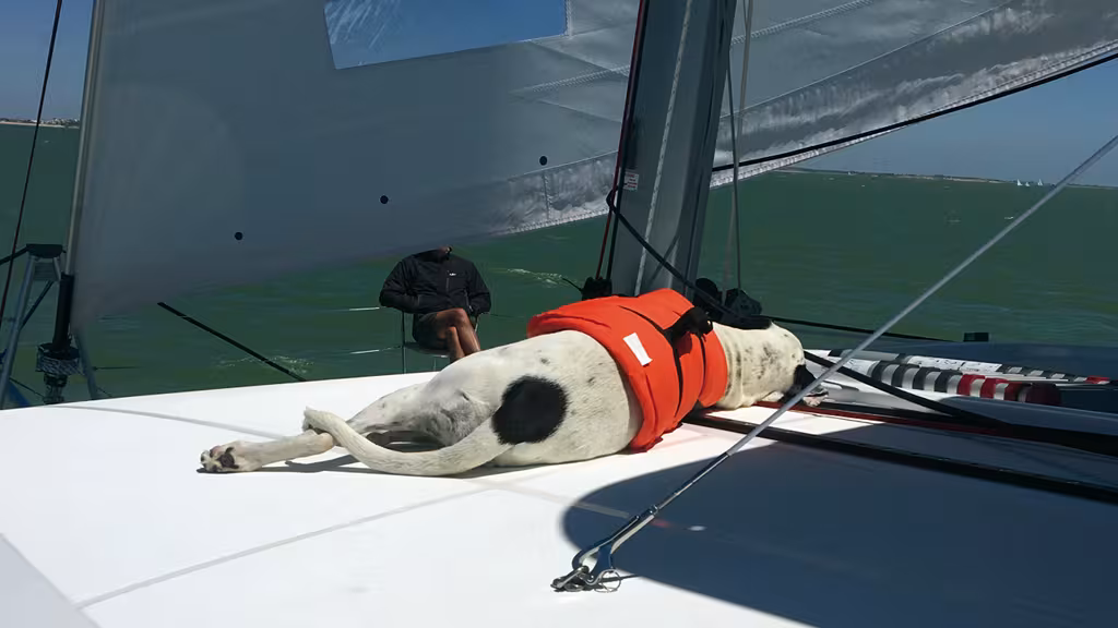 Stabilité et espace : les chiens du couple ont rapidement trouvé leurs marques, et validé le choix de cette plate-forme de 110 m².