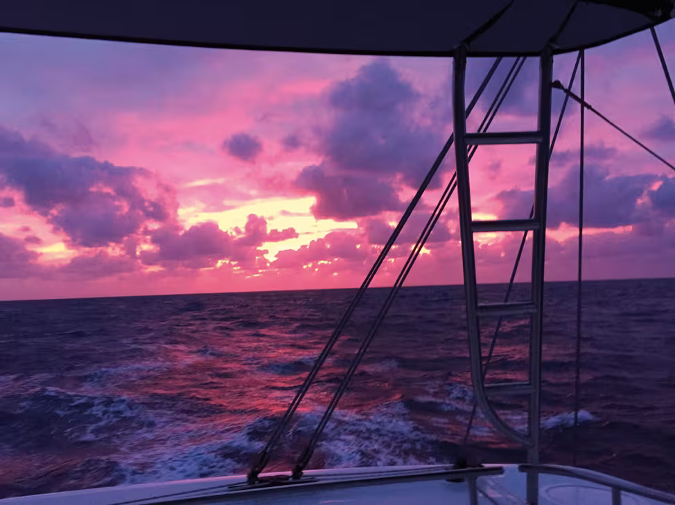 Couleurs de transat : juste des souvenirs exceptionnels…
