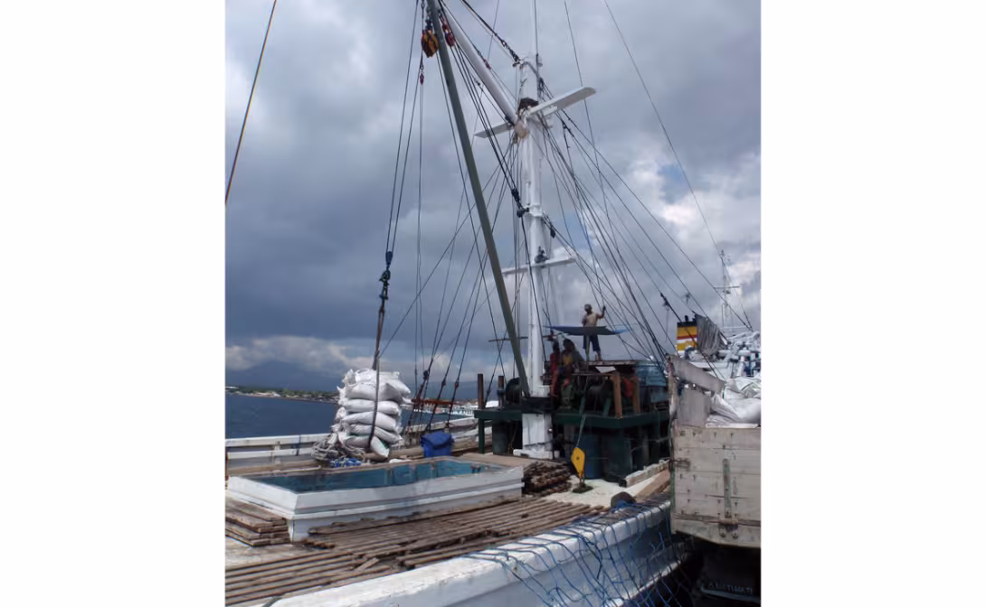 Opérations commerciales pour cette goélette sur le port de Maumere…